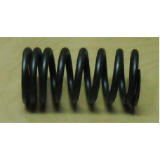 VALVE SPRING