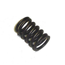 VALVE SPRING
