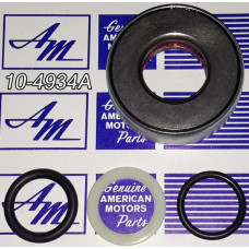 THRUST BEARING KIT