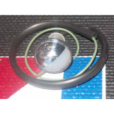 LICENSE PLATE LICENSE PLATE